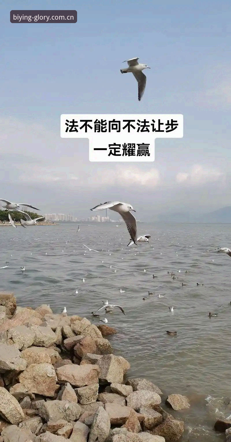 必赢体育平台双端数据洞察：一份关于“时效”与“深度”的实用操作指南